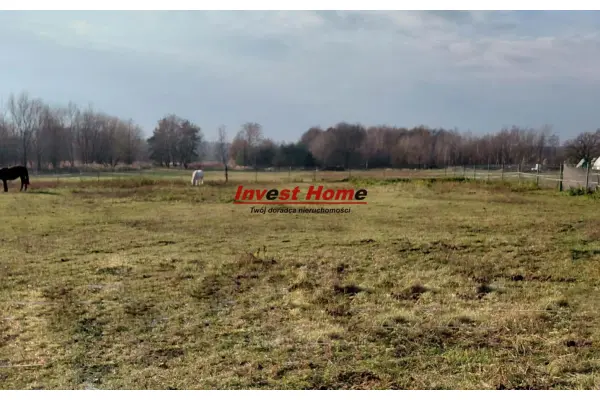 śląskie, rybnicki, Czerwionka-Leszczyny, Bełk,  Interesująca działka budowlana Bełk 1691 m2