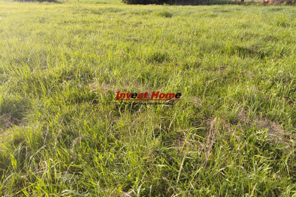 Orzesze, mikołowski, Działka na sprzedaż